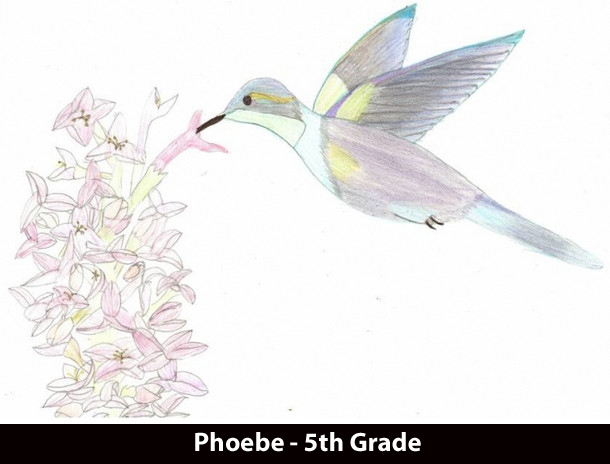 phoebe-5th-grade