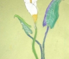 clarissa_4th-grade