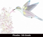 phoebe-5th-grade