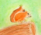 Lily, 3rd grade